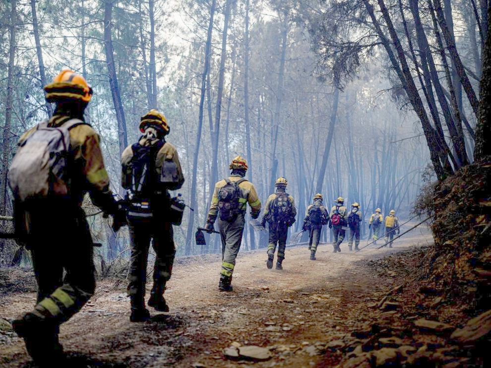 bases-para-a-contratacion-do-servizo-da-brigada-contra-incendios-forestais