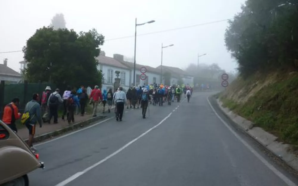 Andaina 2014
