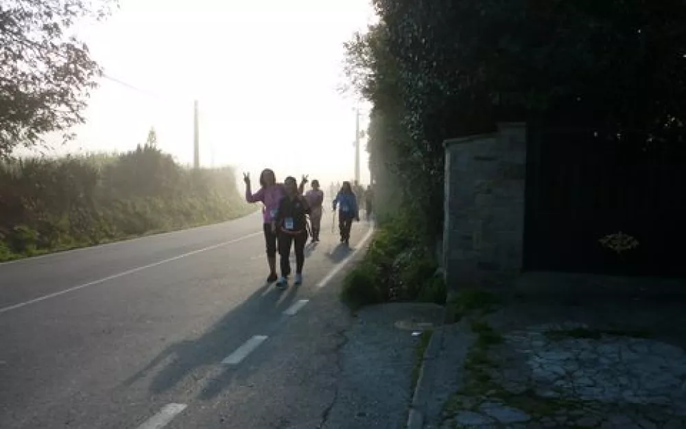 Andaina 2014