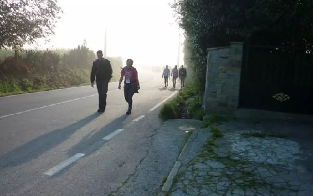 Andaina 2014