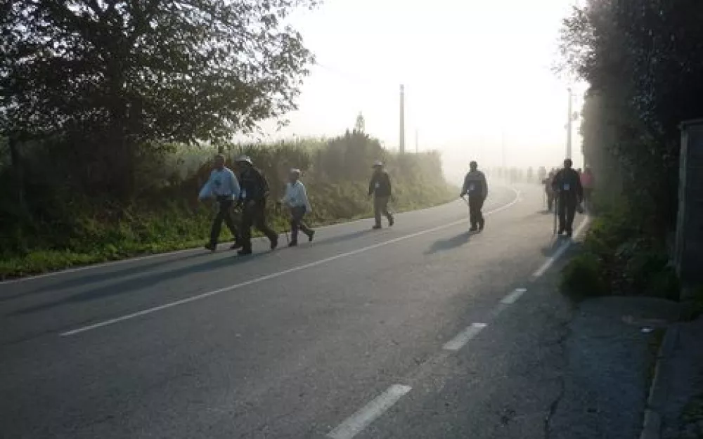 Andaina 2014