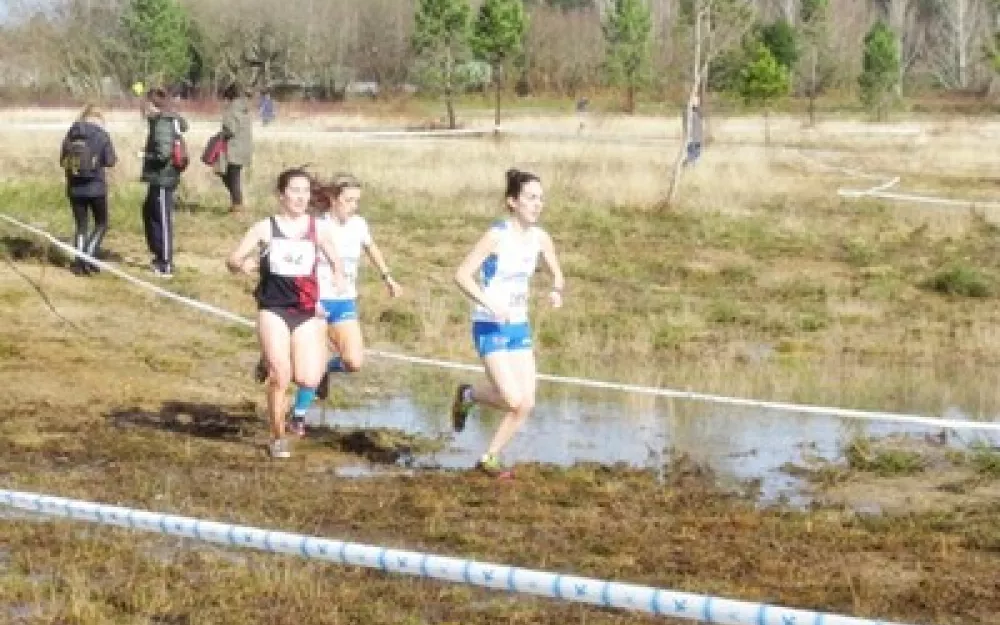 Campionato Galego de campo a través 2014