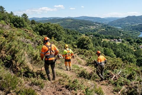 forestal_foto